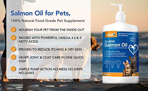 Zipvit Salmon Oil for Dogs 1 Litre, 100% Pure Scottish Salmon Oil. Natural Omega 3, 6 & 9 Supplement for Dogs and Cats. Supports Healthy Coat and Skin and Maintains Joint and Brain Health. - Image 7