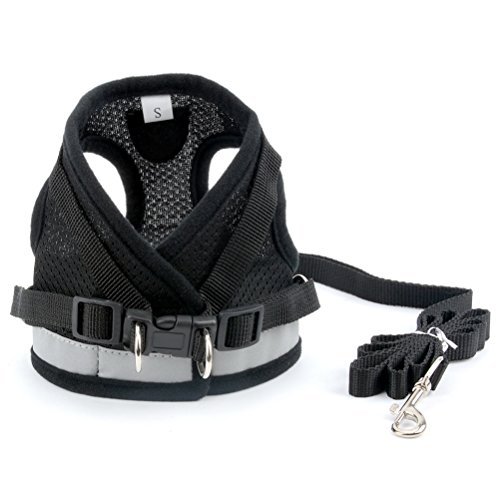 Zunea Dog Harness for Small Dog Cat, No Pull Step-in Soft Mesh Padded Vest Harness Leash Set with Reflective Strap and Logo, Adjustable Puppy Dog Girl Boy Lead for Daily Walking Running Training - Image 3