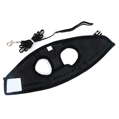 Zunea Dog Harness for Small Dog Cat, No Pull Step-in Soft Mesh Padded Vest Harness Leash Set with Reflective Strap and Logo, Adjustable Puppy Dog Girl Boy Lead for Daily Walking Running Training - Image 4