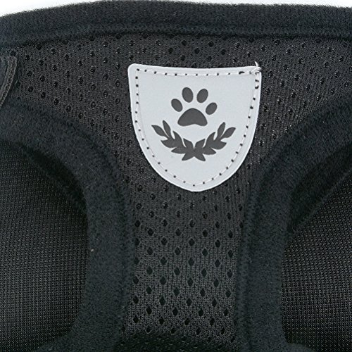 Zunea Dog Harness for Small Dog Cat, No Pull Step-in Soft Mesh Padded Vest Harness Leash Set with Reflective Strap and Logo, Adjustable Puppy Dog Girl Boy Lead for Daily Walking Running Training - Image 5