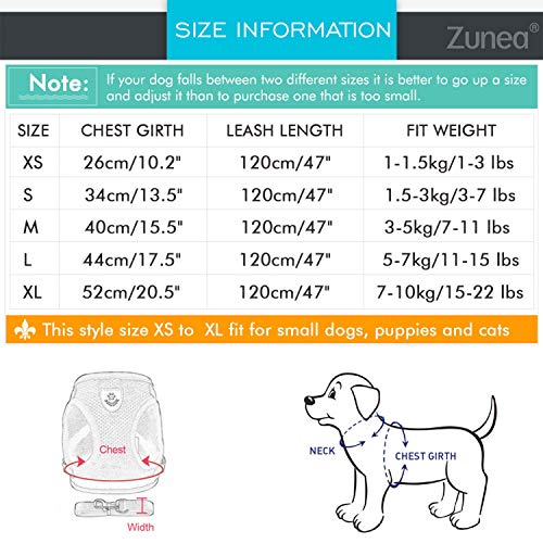 Zunea Dog Harness for Small Dog Cat, No Pull Step-in Soft Mesh Padded Vest Harness Leash Set with Reflective Strap and Logo, Adjustable Puppy Dog Girl Boy Lead for Daily Walking Running Training - Image 6