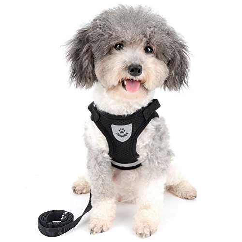 Zunea Dog Harness for Small Dog Cat, No Pull Step-in Soft Mesh Padded Vest Harness Leash Set with Reflective Strap and Logo, Adjustable Puppy Dog Girl Boy Lead for Daily Walking Running Training - Image 7