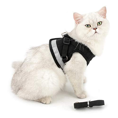 Zunea Dog Harness for Small Dog Cat, No Pull Step-in Soft Mesh Padded Vest Harness Leash Set with Reflective Strap and Logo, Adjustable Puppy Dog Girl Boy Lead for Daily Walking Running Training - Image 8