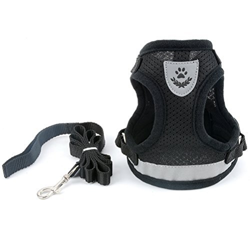 Zunea Dog Harness for Small Dog Cat, No Pull Step-in Soft Mesh Padded Vest Harness Leash Set with Reflective Strap and Logo, Adjustable Puppy Dog Girl Boy Lead for Daily Walking Running Training - Image 10