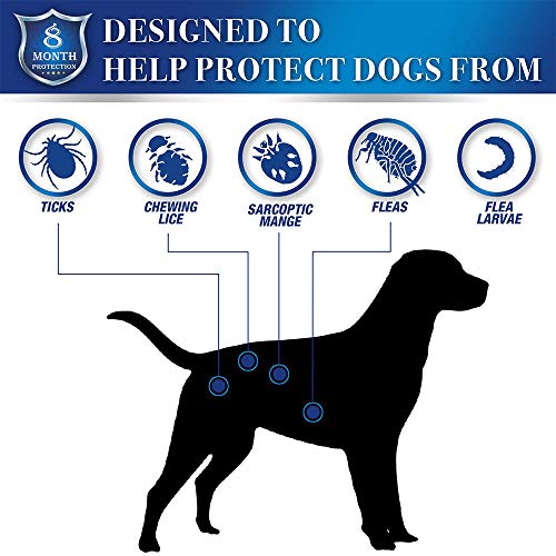 Zwini Flea and Tick Collar for Dogs Natural Dog Anti Flea Collar with 8 Month Protection 24.4’’Fits for Small Medium Large Pets - Image 3