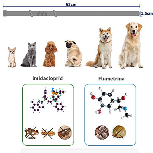 Zwini Flea and Tick Collar for Dogs Natural Dog Anti Flea Collar with 8 Month Protection 24.4’’Fits for Small Medium Large Pets - Image 5