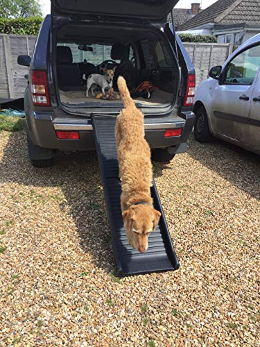 doghealth pet ramp - Image 5