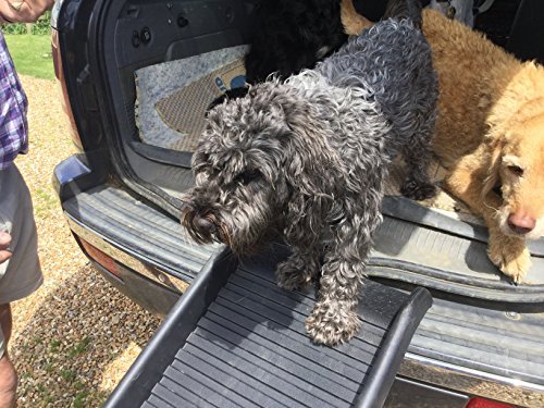 doghealth pet ramp - Image 6