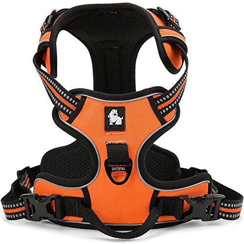 fiE FIT INTO EVERYWAY Range Of Front Side No Pull Dog Harness Outdoor Adventure 3M Reflective Pet Vest with Handle Adjustable Protective Nylon Walking Pet Harness - Image 3