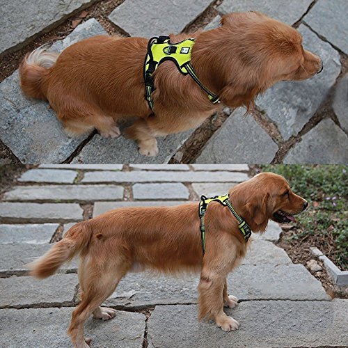 fiE FIT INTO EVERYWAY Range Of Front Side No Pull Dog Harness Outdoor Adventure 3M Reflective Pet Vest with Handle Adjustable Protective Nylon Walking Pet Harness - Image 9