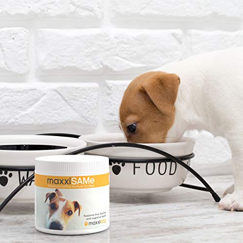 maxxipaws maxxiSAMe Advanced SAM-e Liver and Cognitive Supplement for Dogs Given with Food - Powder 150 g - Image 3
