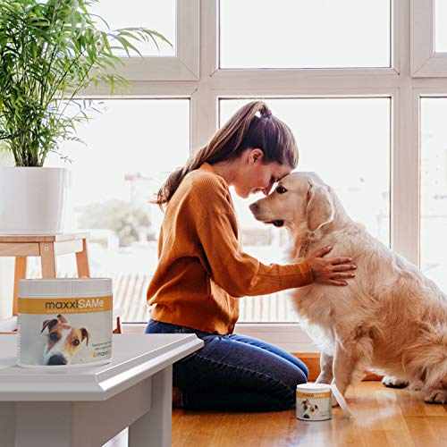 maxxipaws maxxiSAMe Advanced SAM-e Liver and Cognitive Supplement for Dogs Given with Food - Powder 150 g - Image 4