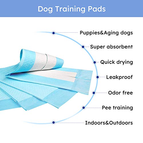 2 Pack Dog Ball Toys,Pet Feeder Training Ball Chew Tooth Cleaning Play Toys,Soft Natural Rubber Bite Resistant For Small Medium Puppy Indoor Outdoor - Image 4