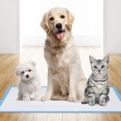 2 Pack Dog Ball Toys,Pet Feeder Training Ball Chew Tooth Cleaning Play Toys,Soft Natural Rubber Bite Resistant For Small Medium Puppy Indoor Outdoor - Image 5