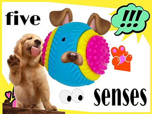 AVANZONA Dog Ball, 5 Senses Rubber Ball, Sensory Ball of Sight, Hearing, Touch, Smell, Taste, Ball for Blind Dogs and Small, Medium and Large Dogs. - Image 4