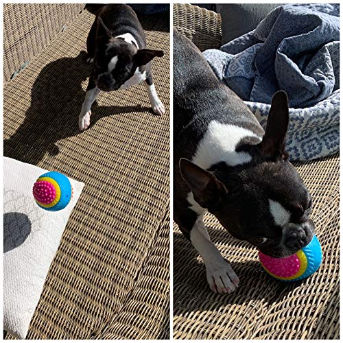 AVANZONA Dog Ball, 5 Senses Rubber Ball, Sensory Ball of Sight, Hearing, Touch, Smell, Taste, Ball for Blind Dogs and Small, Medium and Large Dogs. - Image 6