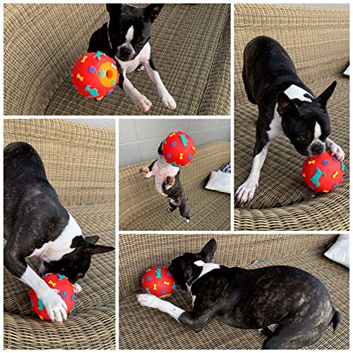 AVANZONA Dog ball natural of rubber, food dispenser. Strong, chew toy for dogs - Image 6