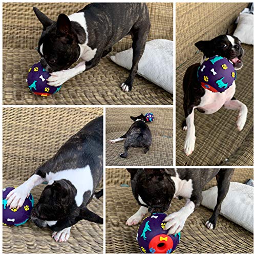 AVANZONA Dog ball natural of rubber, food dispenser. Strong, chew toy for dogs - Image 7