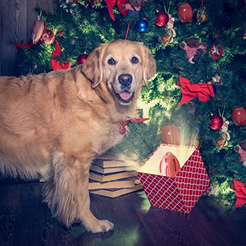 Cebese Squeaky Dog Toys for Aggressive Chewers Almost Indestructible,Tough Durable Dog Chew Fetch Ball with Squeaker Long Lasting Pet Toys for Large Medium Dogs Puppies Breed - Image 6