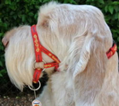 DOGMATIC HEADCOLLAR PADDED CUSHIONED WEBBING PCW - RED - SIZE 2 - Image 2