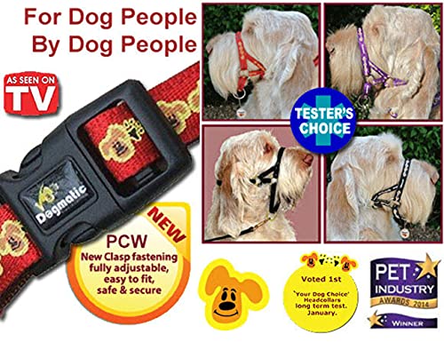 DOGMATIC HEADCOLLAR PADDED CUSHIONED WEBBING PCW - PURPLE - SIZE 3L - Image 5