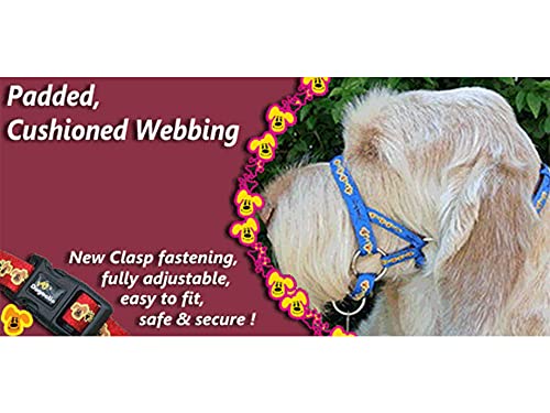 DOGMATIC HEADCOLLAR PADDED CUSHIONED WEBBING PCW - PURPLE - SIZE 3L - Image 7