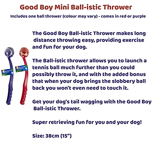 Dog Toy Good Boy Mini Ball-istic Thrower Ball Launcher, Colour may Vary - Image 3