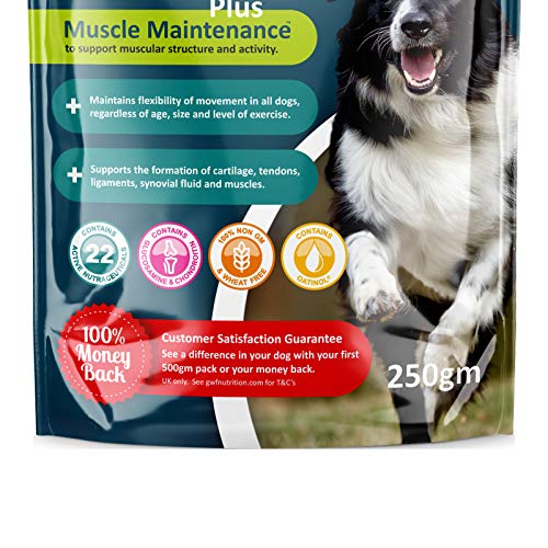 GWF Nutrition joint Aid For Dogs 250g, Pack Of 2 - Image 6