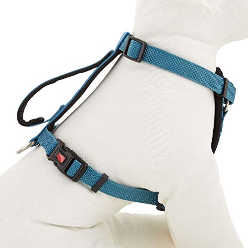 KONG Comfort Padded Chest Plate Dog Harness offered by Barker Brands Inc. - Image 6
