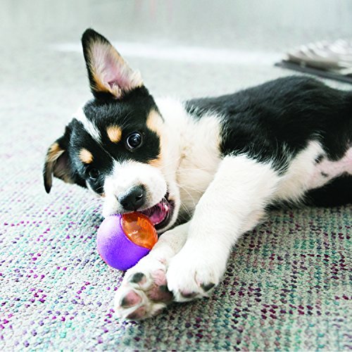 KONG - Squeezz Action Ball Red - Multi Textured Squeaker Interactive Fetch Toy - For Large Dogs - Image 3