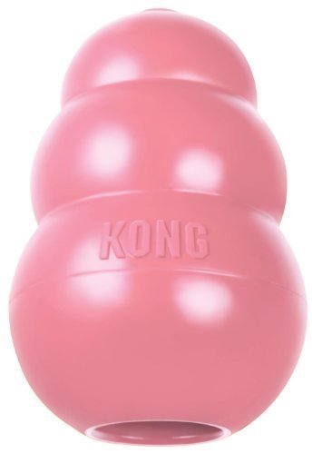 KONG Puppy - Image 3