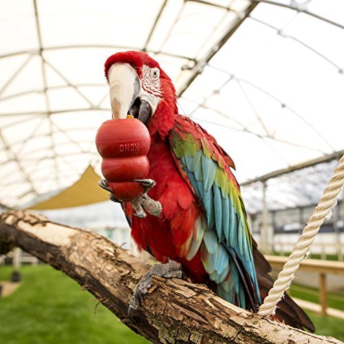 KONG Small Animal KONG, Red - Image 3