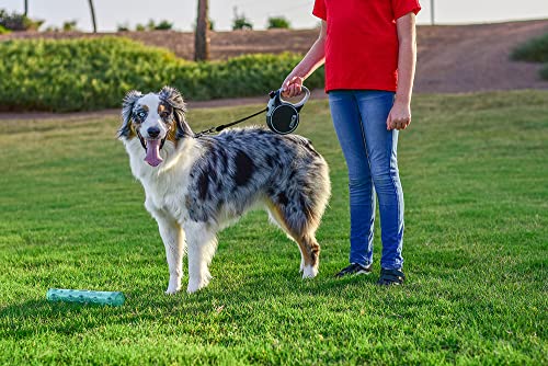 KONG Terrain Retractable Dog Leash - Image 4