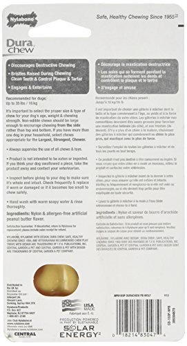 Nylabone Dura Chew - Extra Small, Chicken - Image 3