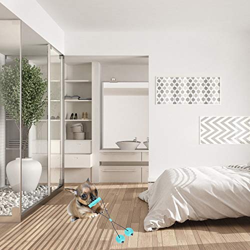 Olgaa Dog Rope Ball Pull Toy with Double Suction Cup Teeth Cleaning Dog Chew Tug Toys for Boredom Tug of War Slow Feeding and Training - Image 4