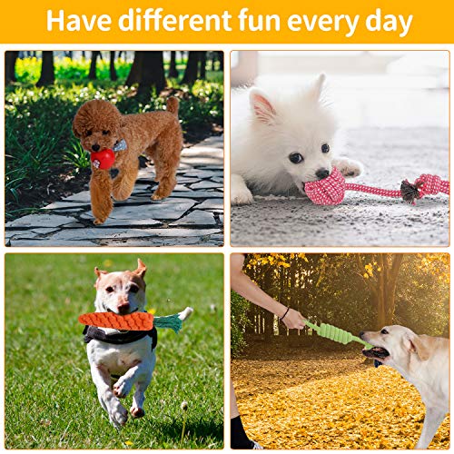 PETTOM Dog Toys Teething Training Dog Chew Toys 10pcs Dog Rope Toys 100% Natural Cotton Avoiding Dogs Boredom Anxiety Ball Rope and Chew Squeaky Toys for Large Medium Dogs Puppy Toys Dog Gift Set - Image 6