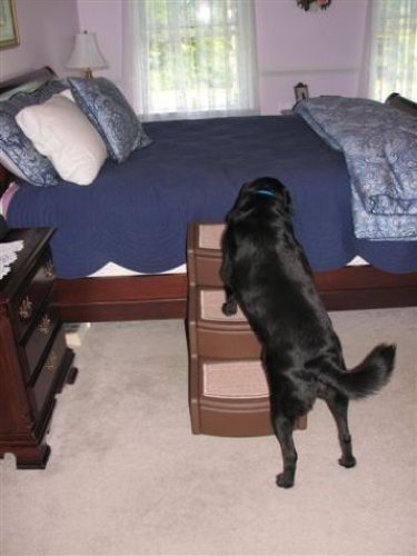 Pet Gear 3 Step Stairs - Tan - Image 4