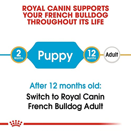 ROYAL CANIN Dog Food French Bulldog Puppy 3 Kg - Image 5