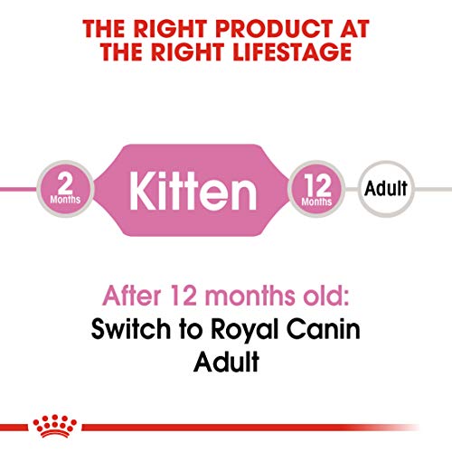 Royal Canin Kitten Food 36 Dry Mix - Image 4