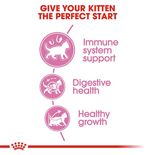 Royal Canin Kitten Food 36 Dry Mix - Image 5