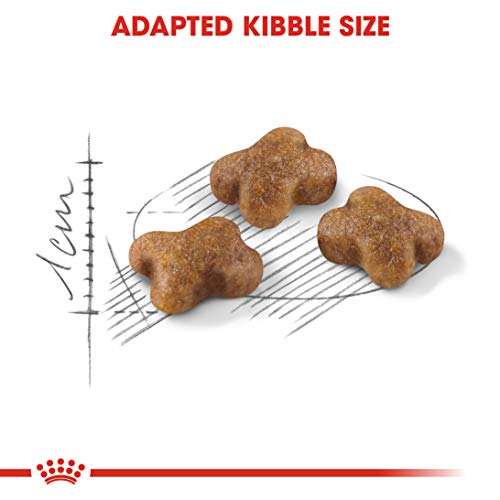 Royal Canin Kitten Food 36 Dry Mix - Image 6