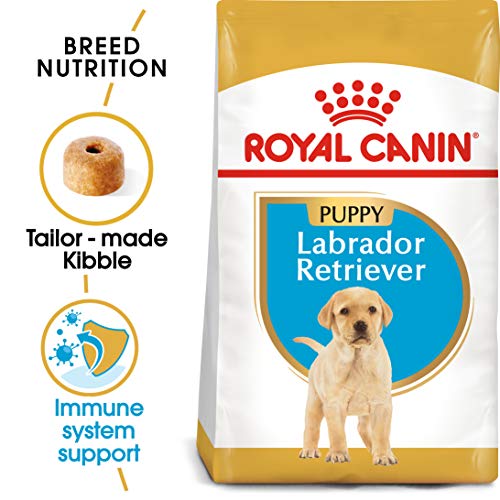 Royal Canin Labrador Retriever 33 Dry Puppy (Junior Dog) Food - Image 3