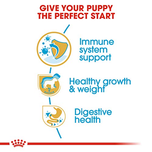Royal Canin Labrador Retriever 33 Dry Puppy (Junior Dog) Food - Image 5