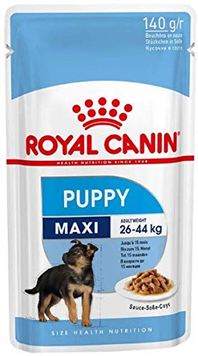 Royal Canin Maxi Puppy / Junior Wet Dog Food 40 Packs 140g Each Specially Developed For Young And Growing Large Breed Dog Up To 15 Months Old - Image 3