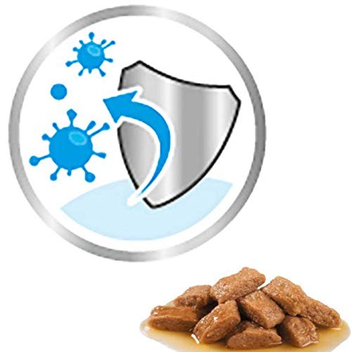 Royal Canin Maxi Puppy / Junior Wet Dog Food 40 Packs 140g Each Specially Developed For Young And Growing Large Breed Dog Up To 15 Months Old - Image 4