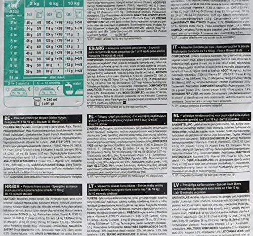 Royal Canin Mini Puppy Dry Dog Food - Image 5