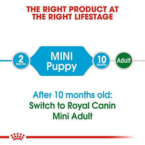 Royal Canin Mini Puppy Dry Dog Food - 800 gm - Image 4