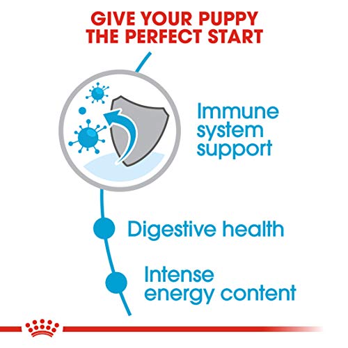 Royal Canin Mini Puppy Dry Dog Food - 800 gm - Image 5