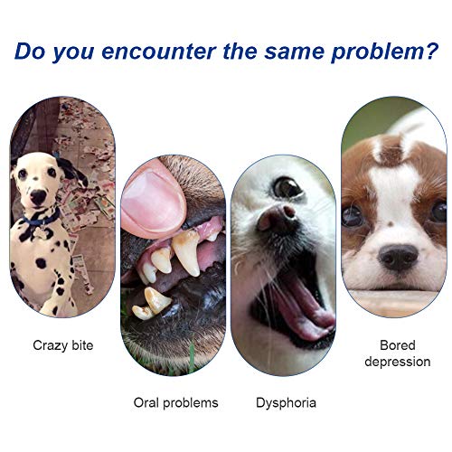 Squeaky Dog Toys,Dog Chew Toys,Puppy Dog Chew Toys,Dog Toy Ball,Dog Squeaky Ball Toy,Dog Ball,Dog Toys,For Dogs To Clean Teeth,Natural Rubber,Durable,Bite Resistant - Image 5