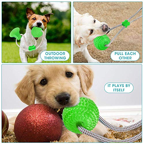 Suction Cup Dog Toy, Dog Tug Rope Chew Ball Toy with Suction Cup, Multifunction Pet Molar Bite Toy, Chew Resistant Suction Cup Style Dog Ball Toy, Dog Toothbrush Toy for Molar, Teeth Cleaning, Play - Image 6